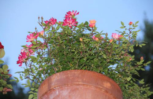 Studio Apartments Andrijana - Foto 20