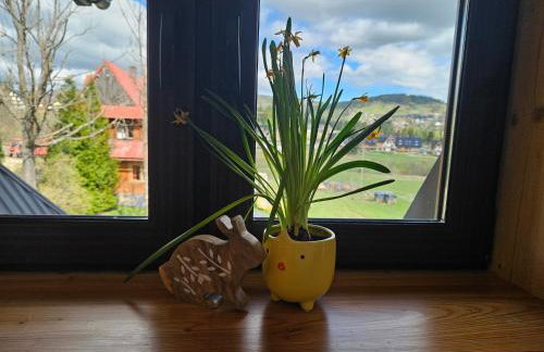 Apartamenty u Rysulów - Foto 15