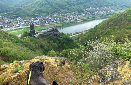 Ferienwohnung Apolo - Foto 17