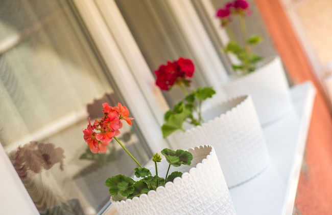 Apartment Hemingway - Photo 34