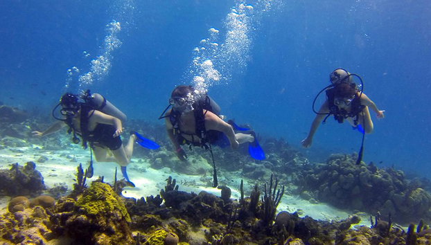 Cours court de plongée sans transfert - Photo 4