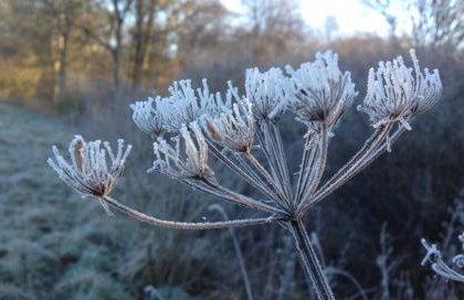 Bull Farm Studios - Foto 42