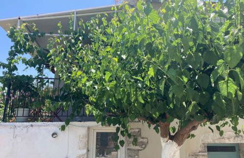 Sergios Village House - Foto 24