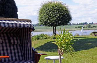 Fischreiher 1 - Foto 14