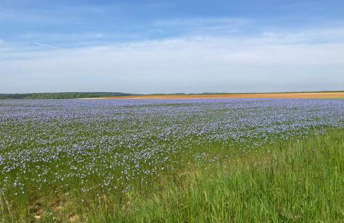 Chez Iréne - Foto 34