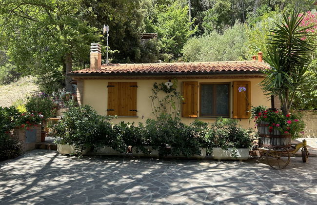 Home Relax - Foto 27