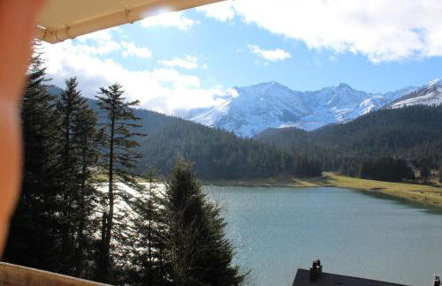 Appartement Lac de Payolle - Foto 17