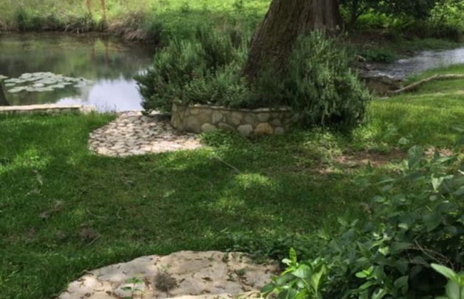 Frio Springs Lodges - Photo 46