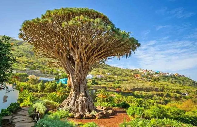 Finca El Castillo - Foto 78