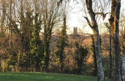 Hollybush Lodges - Foto 59