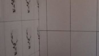 Casa Verde Locação para temporada - Foto 5