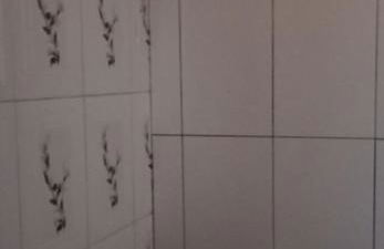 Casa Verde Locação para temporada - Foto 5