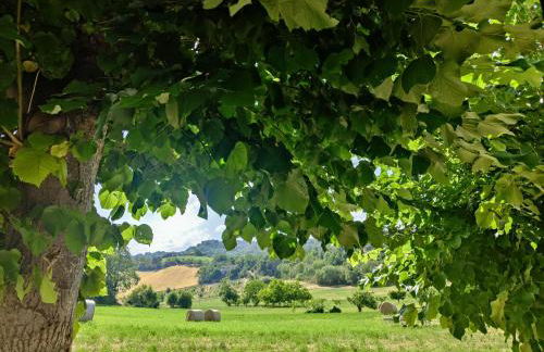 La Casa del Duca - Foto 14