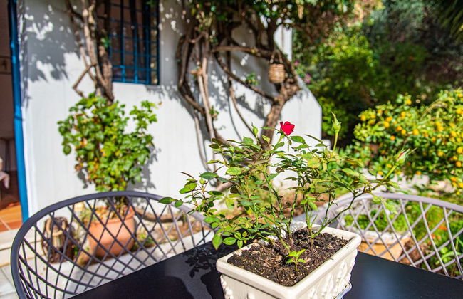 Barbati Boutique Studio - Foto 10