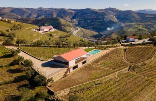 Douro Valley Luxury Home with Vineyard and Infinity Pool - Photo 29