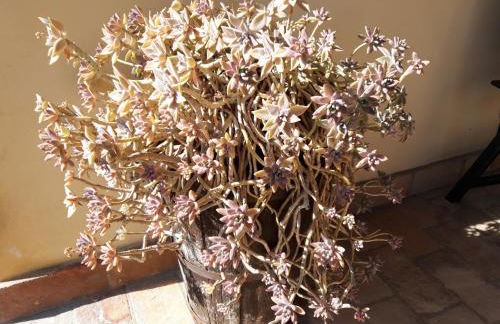 Agriturismo La Mela - Photo 19