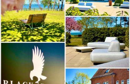 Residence Black Eagle Lubmin Strand - Foto 2