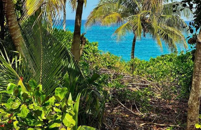 Trident Estate 6 Bedroom Estate - Foto 27