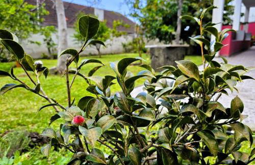 Holiday Home Haus Seixal by Interhome - Foto 26