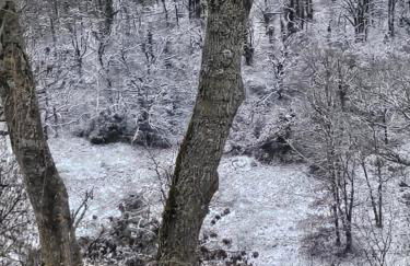 La petite Maison a charming, peaceful cottage in the Countryside - Foto 47