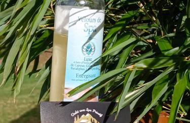 Chalet neuf avec jacuzzi privé, vue imprenable sur Massif des Vosges - Foto 29