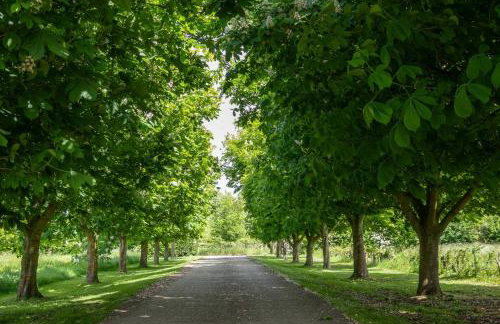 East Green Farm Cottage - Studio Barn - Aldeburgh Coastal Cottages - Foto 36