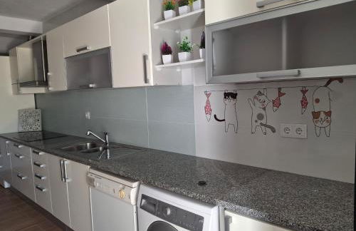 Flor de Laranjeira - Foto 5