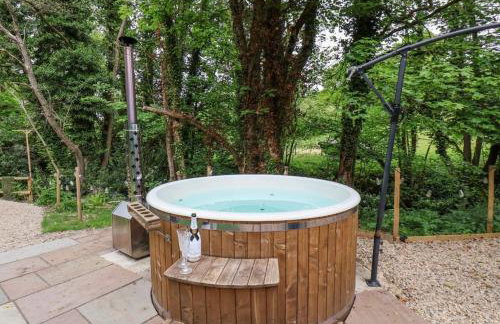 Alum House Littlebeck, Whitby - Roe Deer Lodge - Foto 41