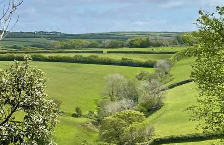 Whitebeam, Moor and Sea Holidays, beautiful views over Exmoor - Foto 26