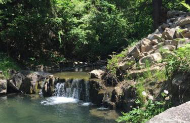 Chatka z sauną nad rzeką - Foto 13