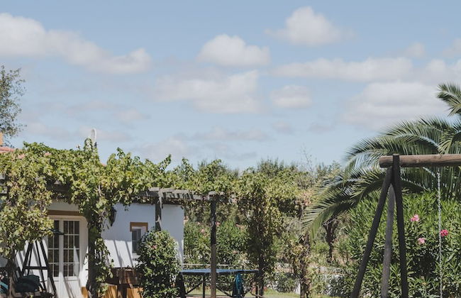 Monte dos Pintos - Foto 19