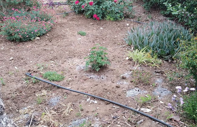 Cortijo Veracruz - Photo 62