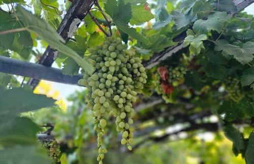 The House By The Sea - family memories strats here - Foto 6