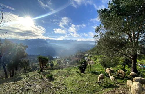 Quinta do Rio Douro - Turismo Rural - Foto 34