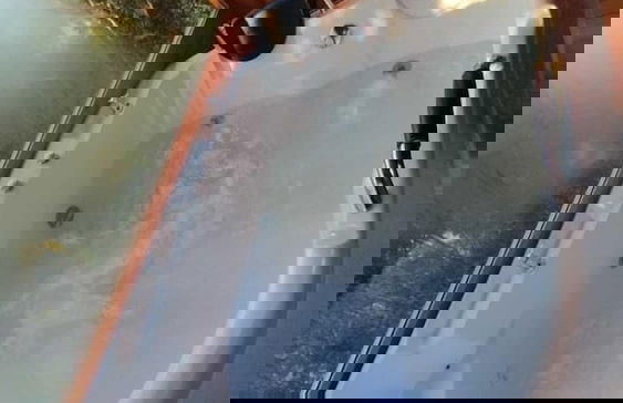 Glamping Bosques del Moral - Foto 6