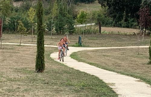 casa rural de un artista en plena naturaleza piscina y parque de esculturas en villarcayo - Photo 50