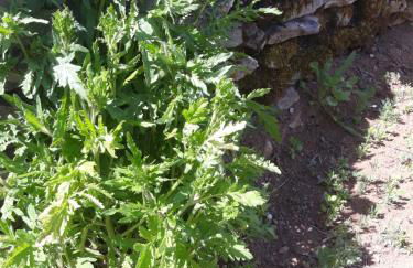 Gîte de La Saugiat - Foto 23