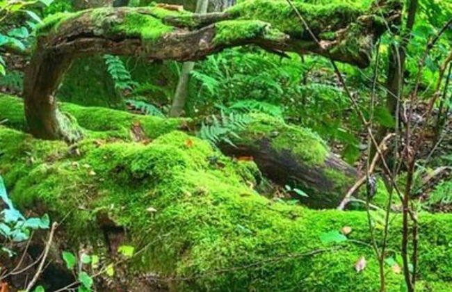 Classy Apartment in Bad Sachsa - Foto 27