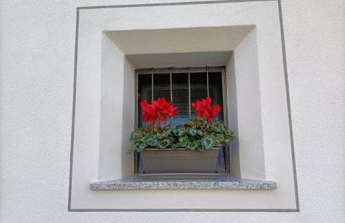 Appartamenti Primiero - Foto 16