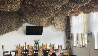 Stara Szkoła - Foto 3