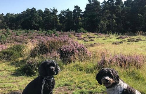 Courtyard Bothy - Foto 17