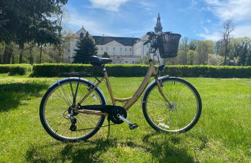 Oficyna Winiarza - Foto 37