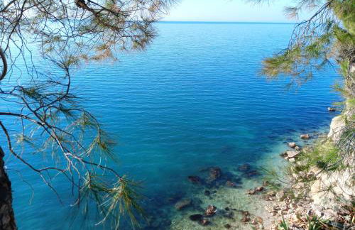 Casetta nel centro storico - Foto 18