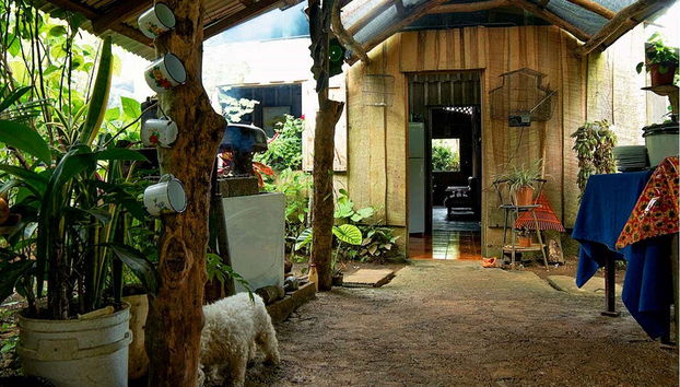 Farm Ranch Tour - Foto 4