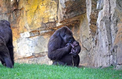 La Vista al mar de Belén - Foto 61