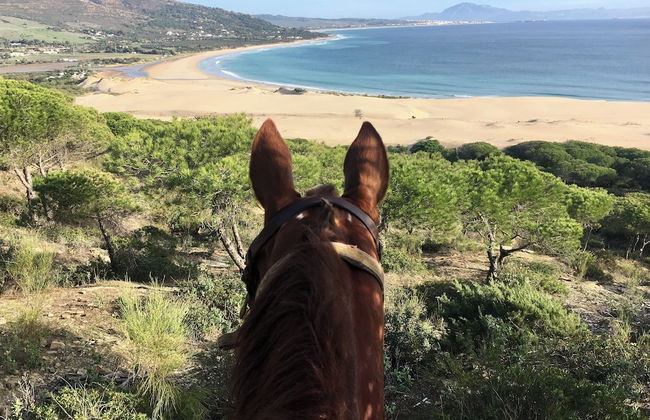 Beautiful Coastal Retreat in Punta Paloma, Tarifa - Foto 33