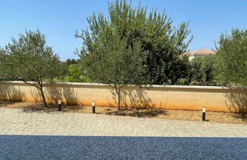 Apartman Dorotea - Photo 11