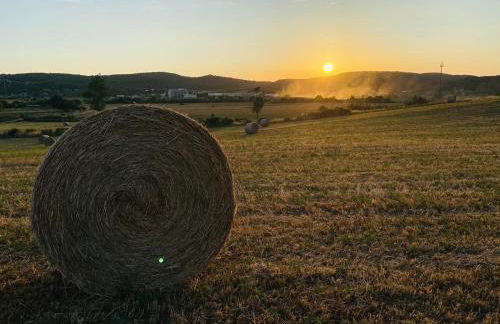 Podere La Selva - Foto 20