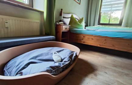 ansimali 1- Gemütliche FeWo mit Küche und Gartenblick in Grünhain-Beierfeld für Tierfreunde und Radliebhaber - Foto 15