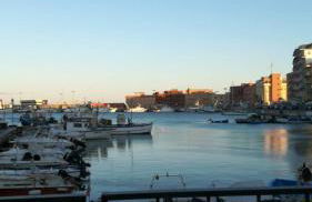 GreenHouse_Anzio - Photo 28